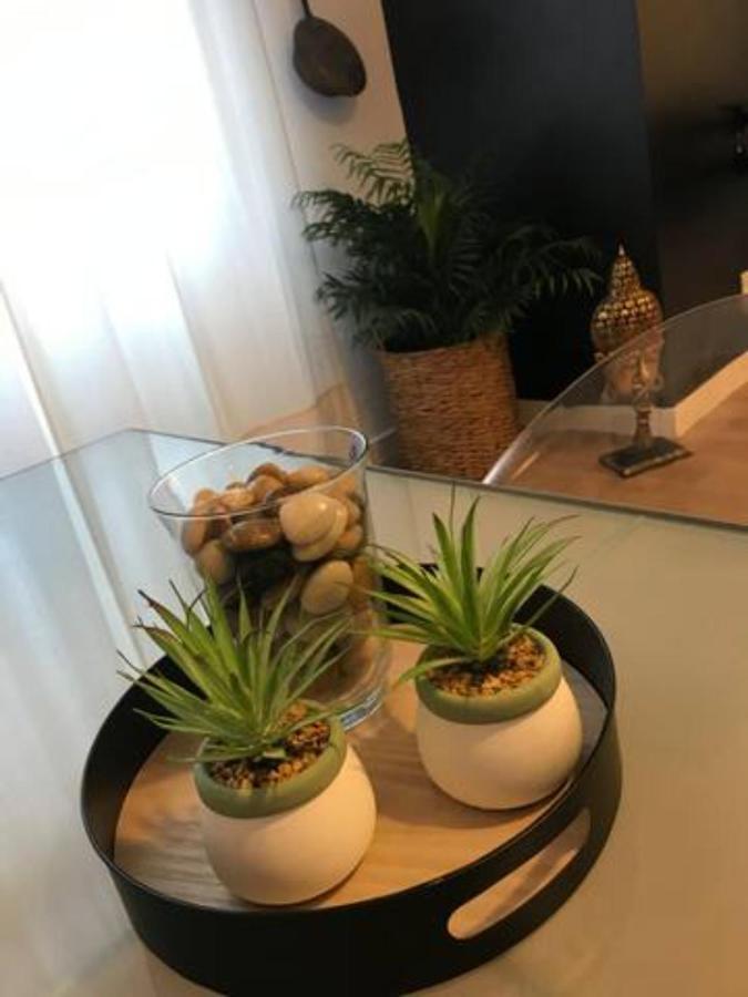 Nuevo Apartamento En Playa De Las Canteras Λας Πάλμας ντε Γκραν Κανάρια Εξωτερικό φωτογραφία